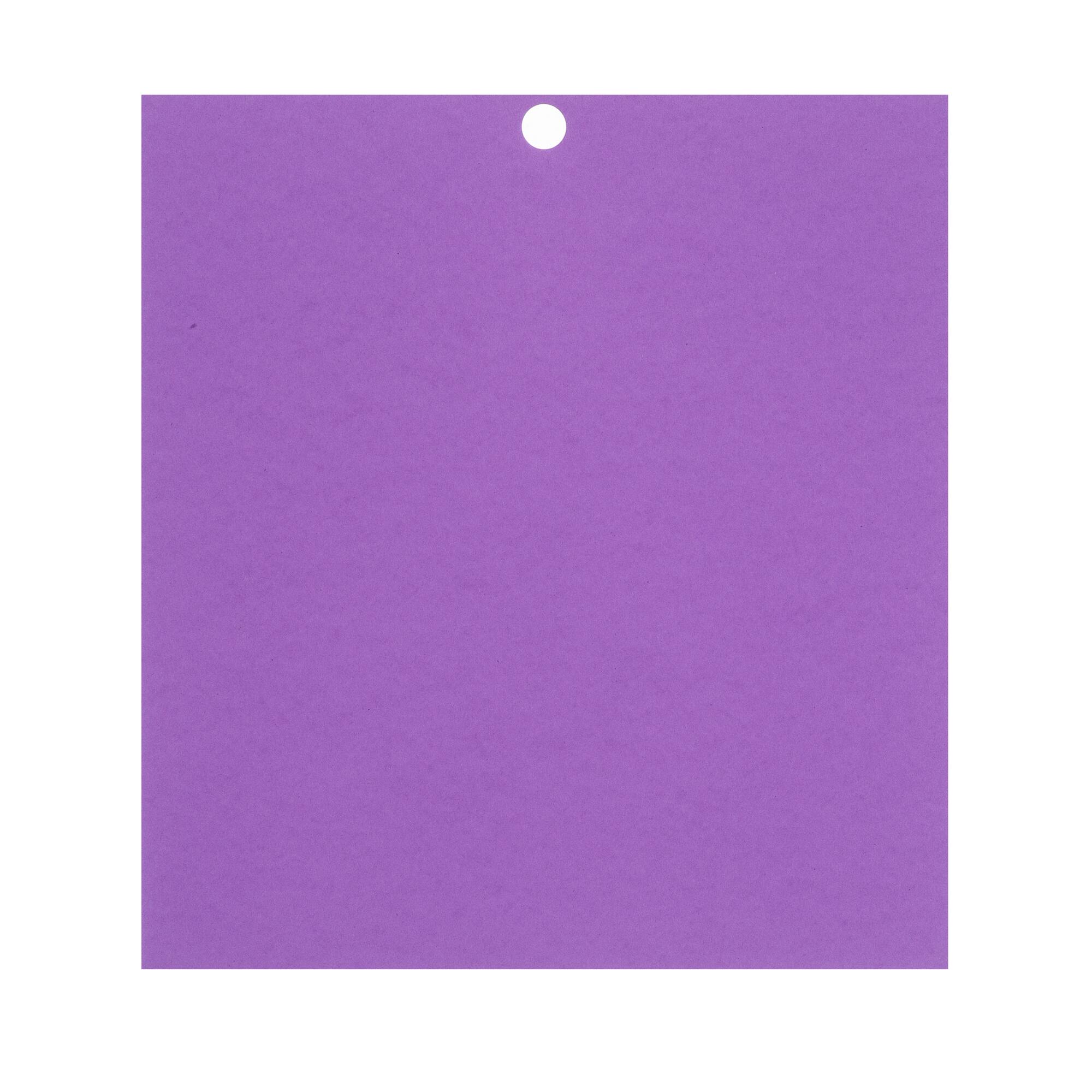 Purple Passion 6" x 6.5" Cardstock Paper by Recollections™, 100 Sheets